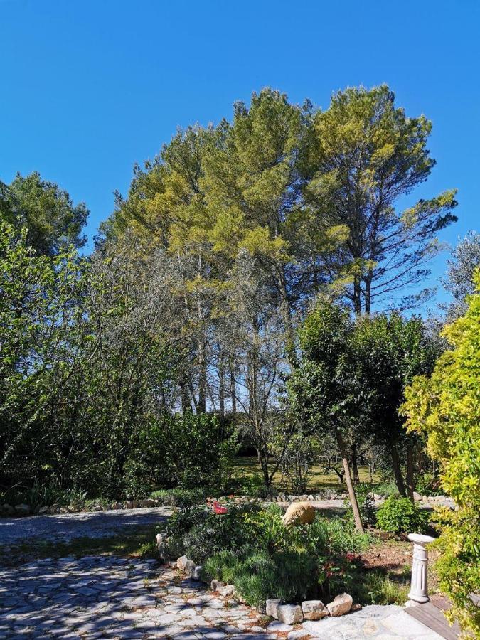 La Maison Du Soleil Provence Draguignan Zewnętrze zdjęcie